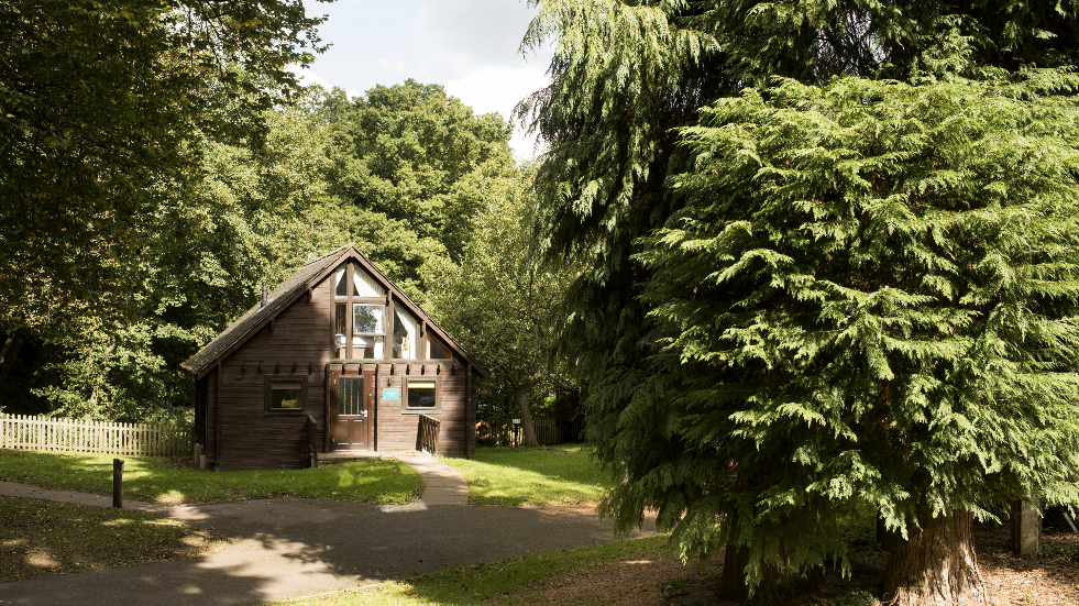 Family break in the Forest of Dean - Whitemead Forest Park